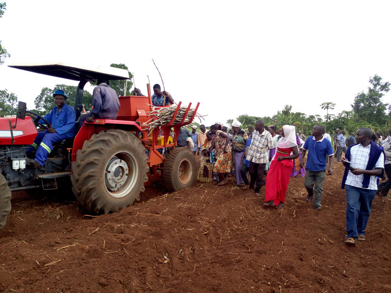 Planteur Manioc de type Ridge