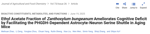 Nueva evidencia antienvejecimiento: cómo el extracto de pimienta de Sichuan puede mejorar el deterioro cognitivo relacionado con la edad