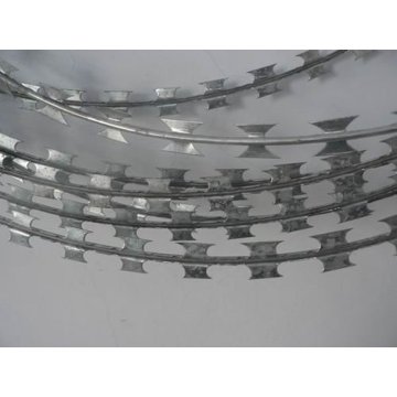 Ten Chinese Razor Wire Suppliers Popular in European and American Countries