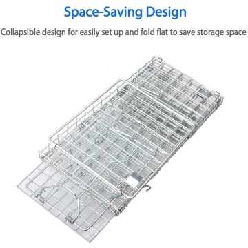 Top 10 Most Popular Chinese Collapsible Squirrel Trap Cage Brands