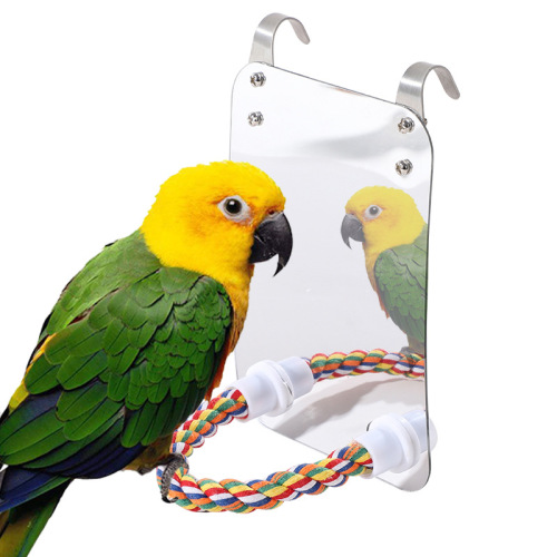 bird mirror toy