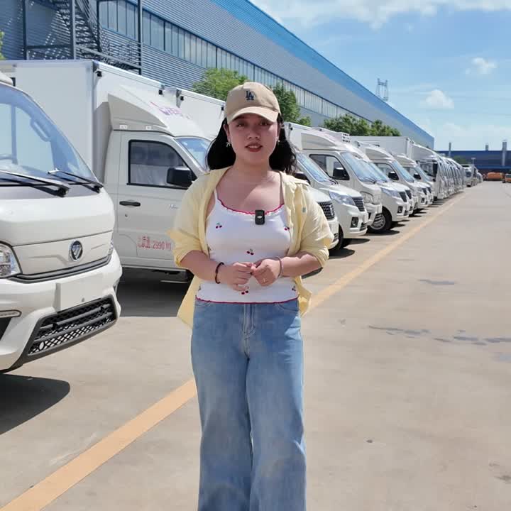 Грузавік-рэфрыжэратар Foton Sapling V1