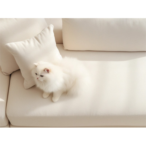 Innovation and Personalization Drive the Global Pet Sofa Market Boom in 2026