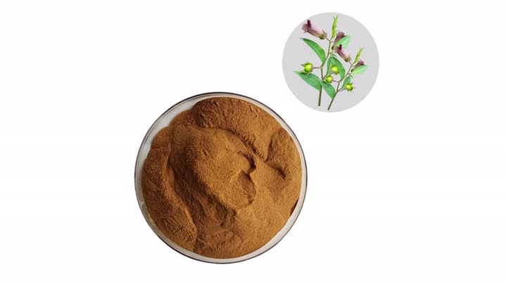 Belladonna powdered extract