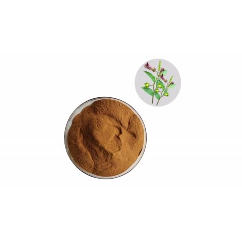 Belladonna powdered extract
