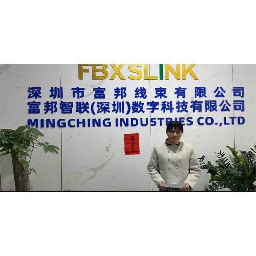 Shenzhen Fubang Wire Harness Co., Ltd. veranstaltet herzerwärmende Kondolenzveranstaltung zum Frauentag