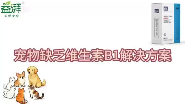 Hongo Reishi con Vitamina B1 para Mascotas