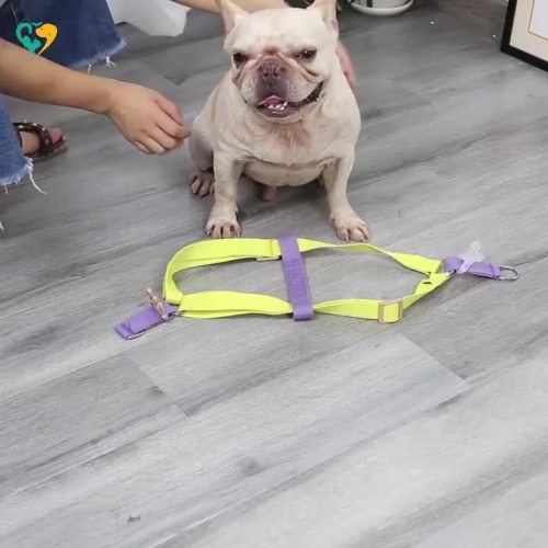 Yellow Durable Dog Harness