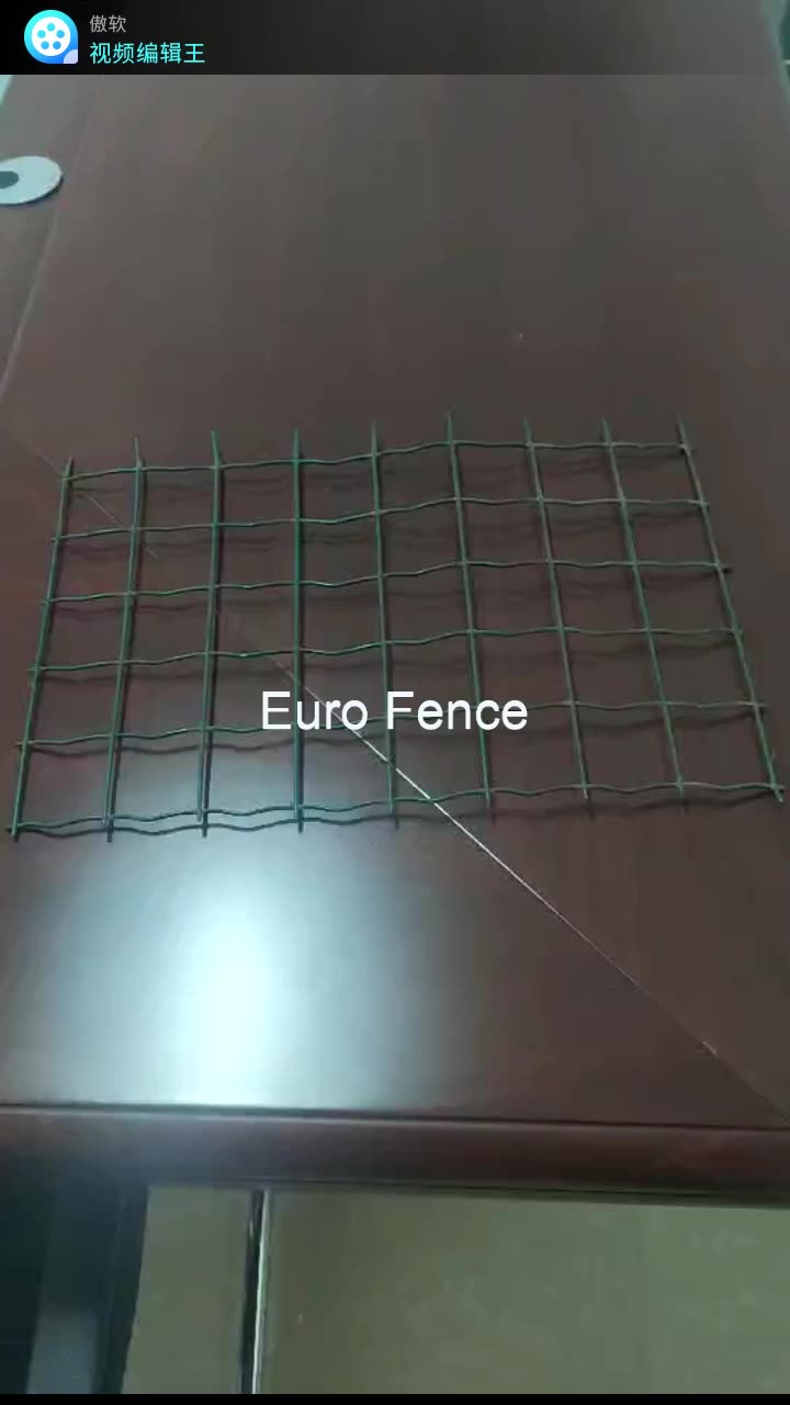 Gelaste ijzeren draad gaas euro draad mesh hek pvc gecoate draad gaaspaneel11
