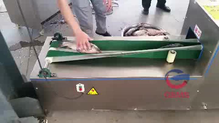 máquina de eviscerado de pescado