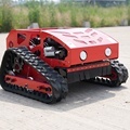 Remote Control Crawler Mini Lawn Mower1