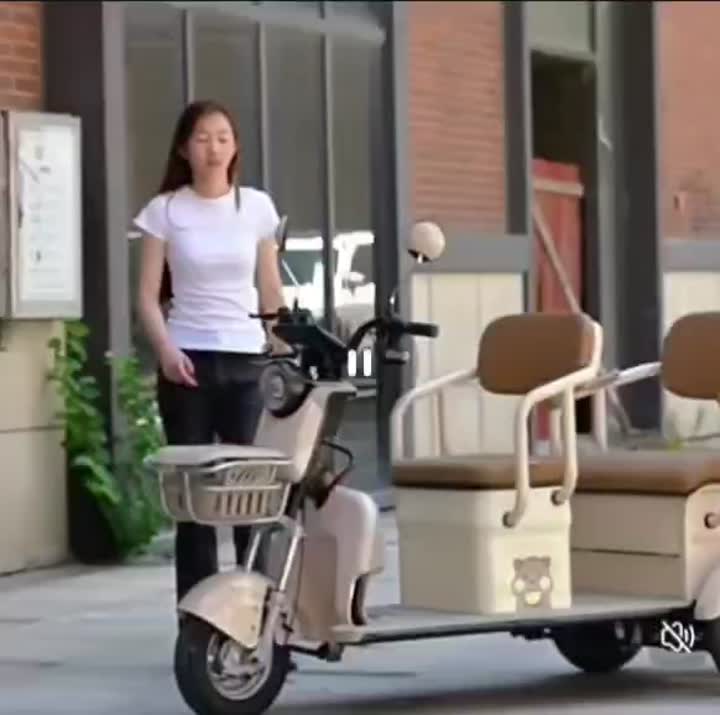 Household commuting electric tricycle