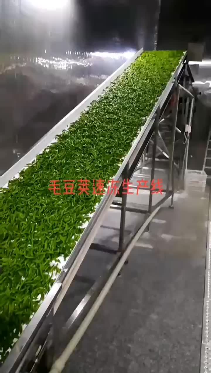 IQF beans production line