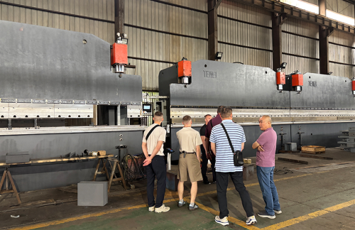 Detection and Feedback: The 