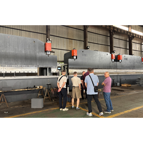 Detection and Feedback: The 