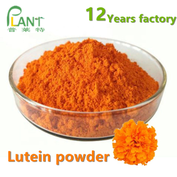 Marigold Flower Extract 5% Lutein And Zeaxanthin powder