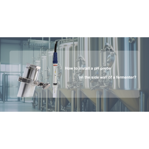 How to install a pH probe on the side wall of the fermentation tank?