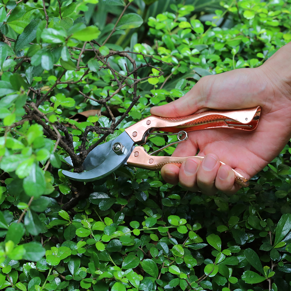 Sécateurs durables professionnels de ciseaux de jardin de dérivation pour la branche d'herbe et d'arbre