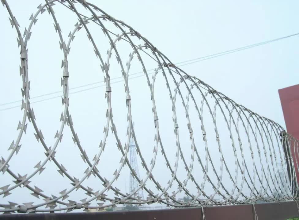 Produttore di fabbrica di alta qualità Diamond Razor Wire Fence in vendita1