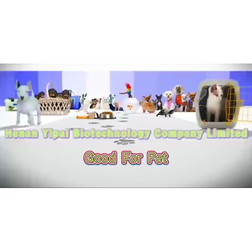 company video
