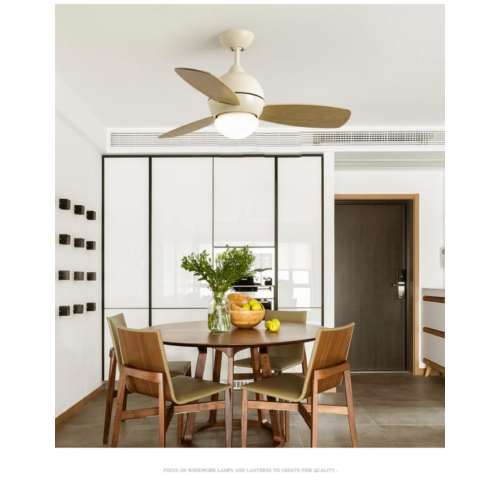 Advantages of Esclighting's Ceiling Fan