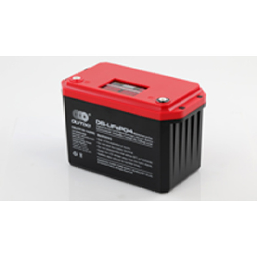 LifePo4 Battery-CNLFP100-12 (DS)