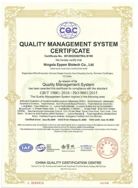 quality management system certificate