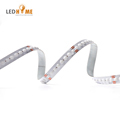 5 Years Warranty IP20 CCT 12V 2V Cuttable LED Strip Light 5M RGB Flexible1