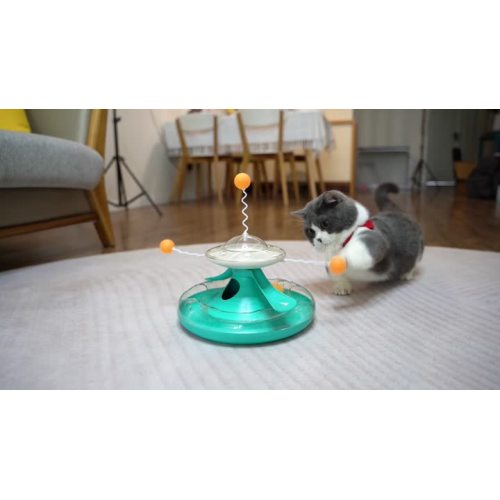 jouets tournants heureux pour chats