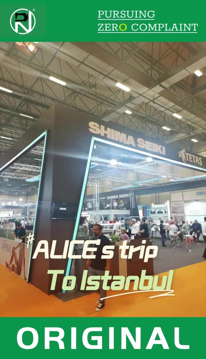 অ্যালিসের ইস্তাম্বুল ভ্রমণ