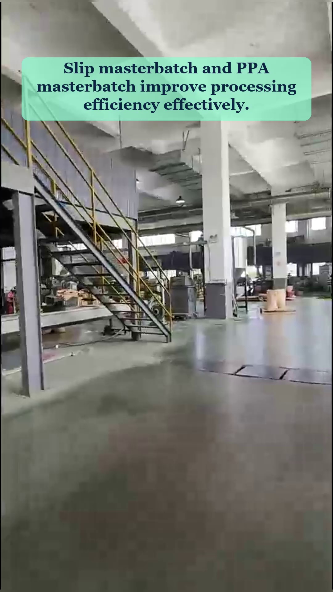 Vídeo 81