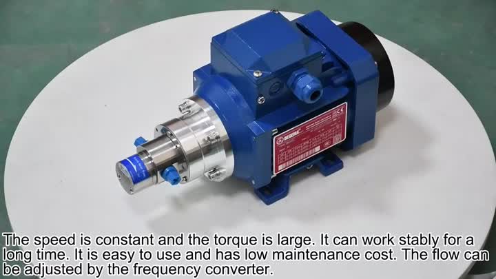 Bomba de engrenagem de 0,30cc