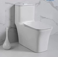 Factory Wholesale One Piece WC Set - Easy Clean Ceramic Toilet and Bathroom Set1