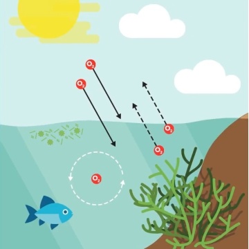 Understanding Dissolved Oxygen: Importance, Levels & Monitoring