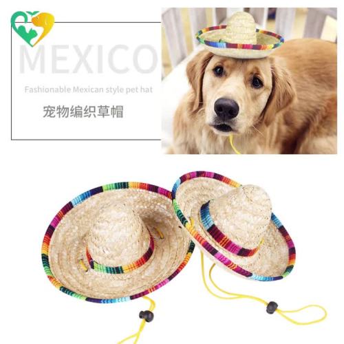 pet straw hat