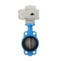 Electric Actuator Butterfly Valve Clamping Systems1