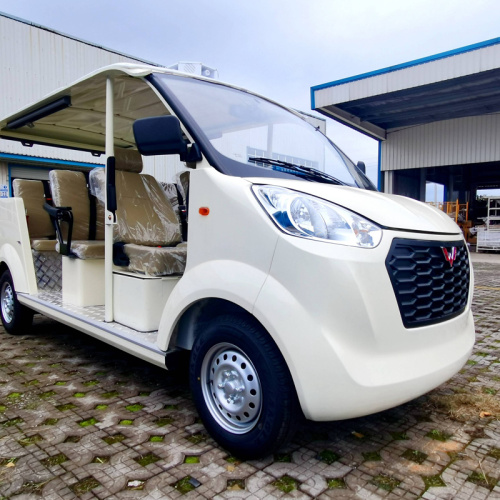 A brief discussion of some details you need to know about the early use of new Electric Sightseeing Car