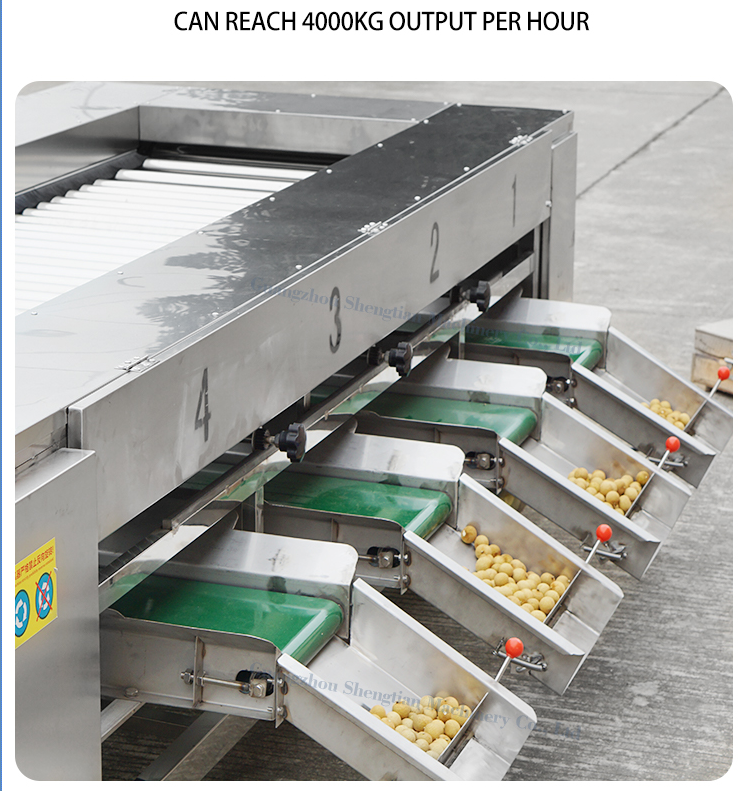 potato sorting machine