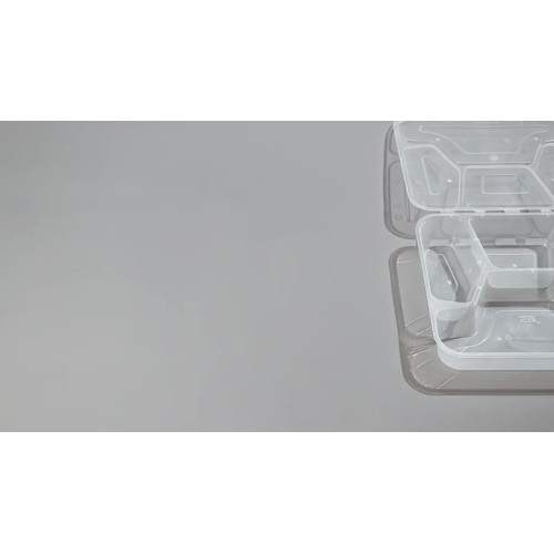 disposable box food container