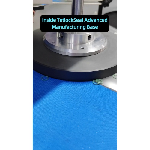 Combinación de productos de múltiples especificaciones para demandas de proyectos mixtos en los sectores de procesamiento químico e hidráulico médico de semiconductores para automóviles