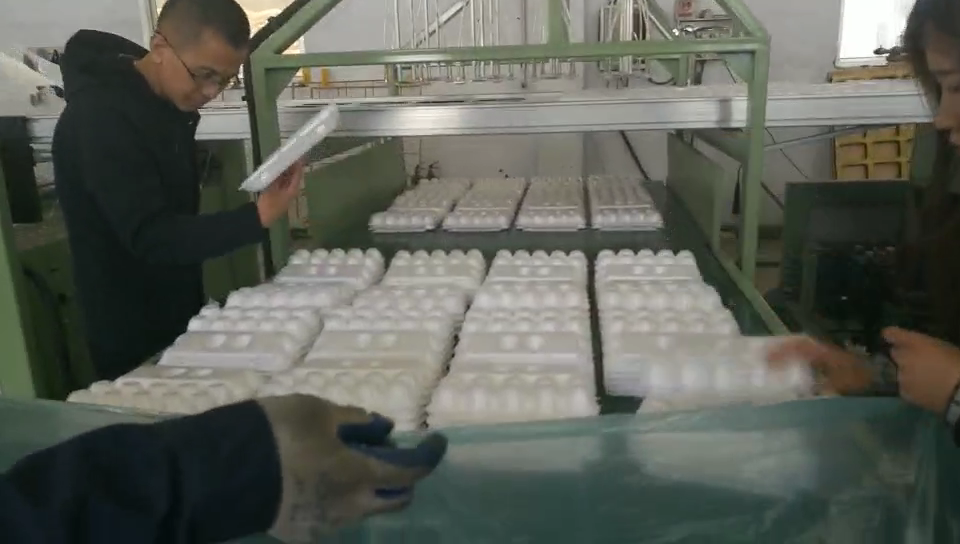 Styrofoam Machine for Foam Dinner Plate