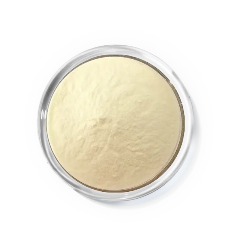 ACV powder 