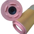 Hebei auto filter generator air filter element 21010256 for truck1