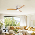 HSG Model 3694 52 Inch Wooden Blades Nickel LED Ceiling Fan1