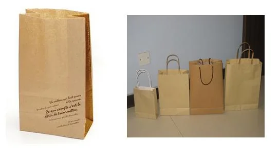 Automatic Paper Bag Making Machine with 2 Colors Printing