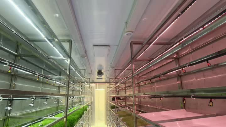 Внутреннее видео кормового контейнера 1