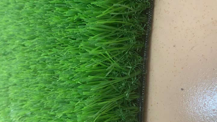 м3 полностью зеленый