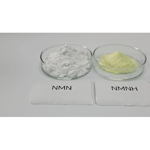 98% NMNH powder