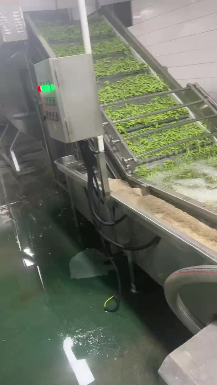 IQF Green Beans Production Line