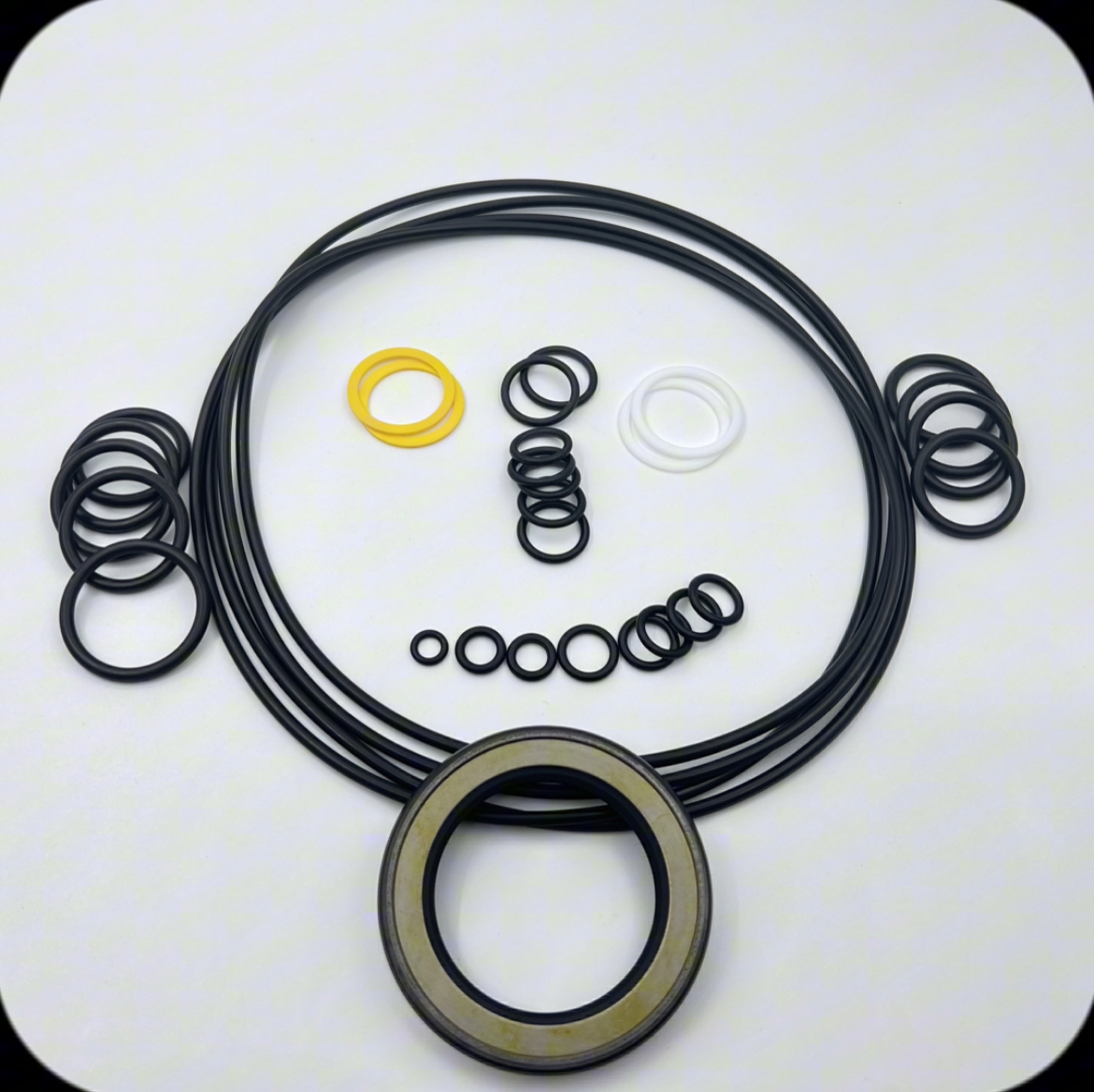 42-Swing Motor Repair Kit